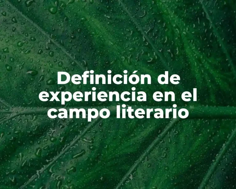 Definición de experiencia en el campo literario