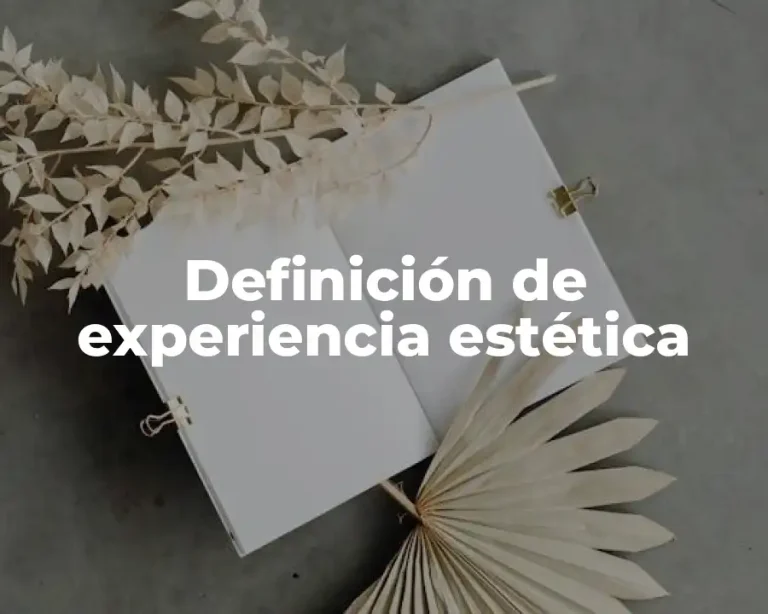 Definición de experiencia estética