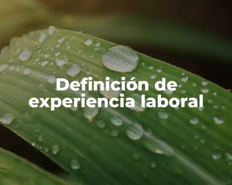 Definición de experiencia laboral