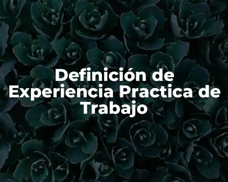 Definición de Experiencia Practica de Trabajo