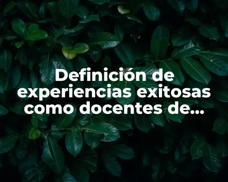 Definición de experiencias exitosas como docentes de matemáticas secundaria