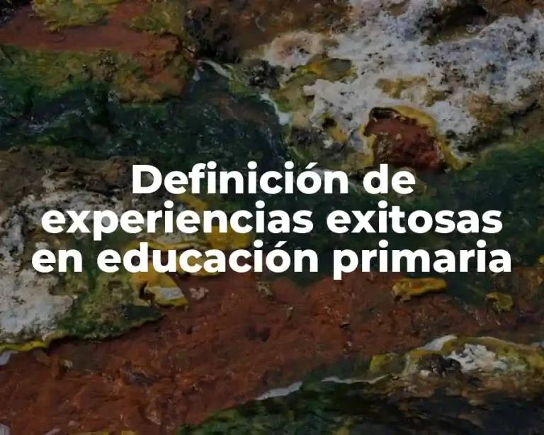 Definición de experiencias exitosas en educación primaria