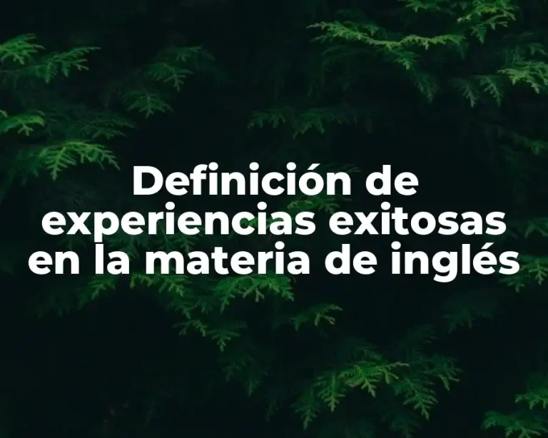 Definición de experiencias exitosas en la materia de inglés