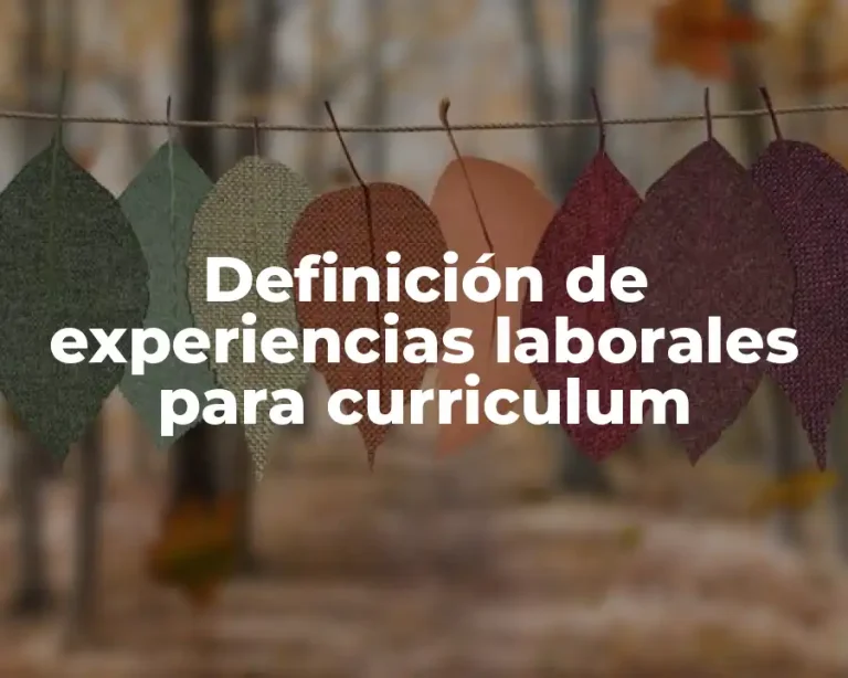 Definición de experiencias laborales para curriculum