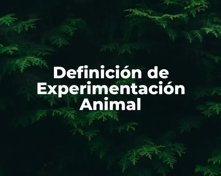 Definición de Experimentación Animal