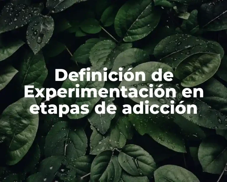 Definición de Experimentación en etapas de adicción