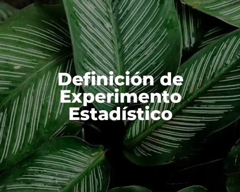 Definición de Experimento Estadístico