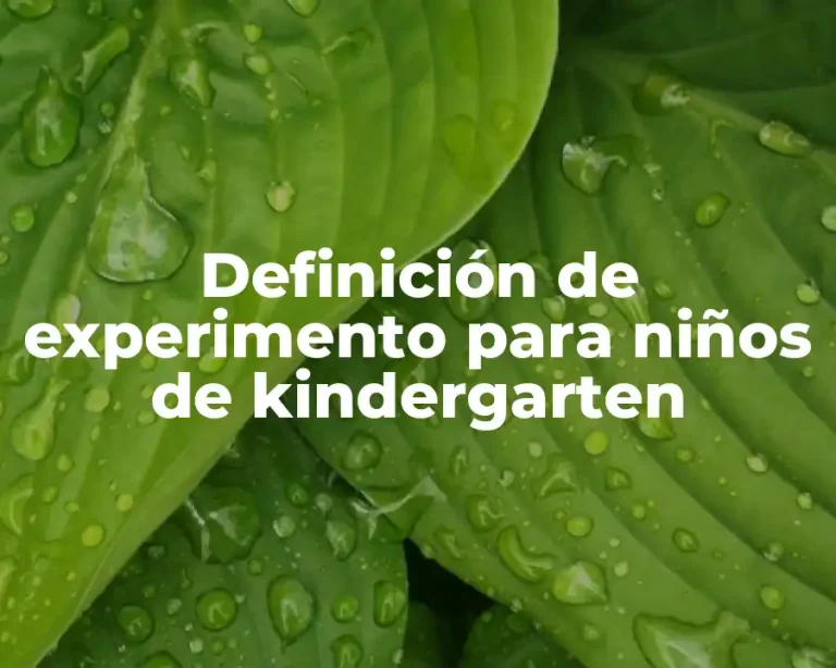 Definición de experimento para niños de kindergarten