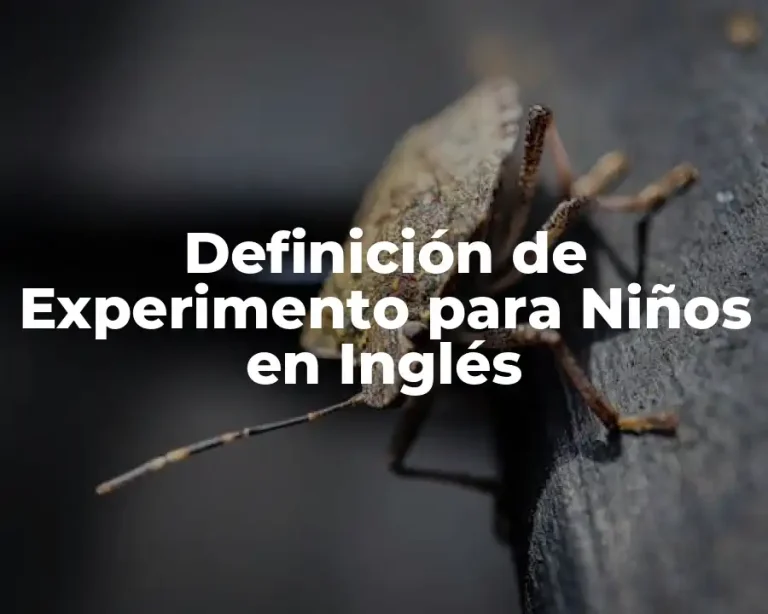 Definición de Experimento para Niños en Inglés