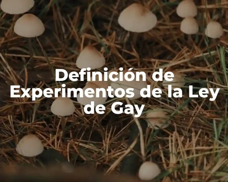 Definición de Experimentos de la Ley de Gay