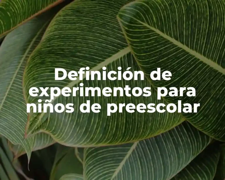 Definición de experimentos para niños de preescolar