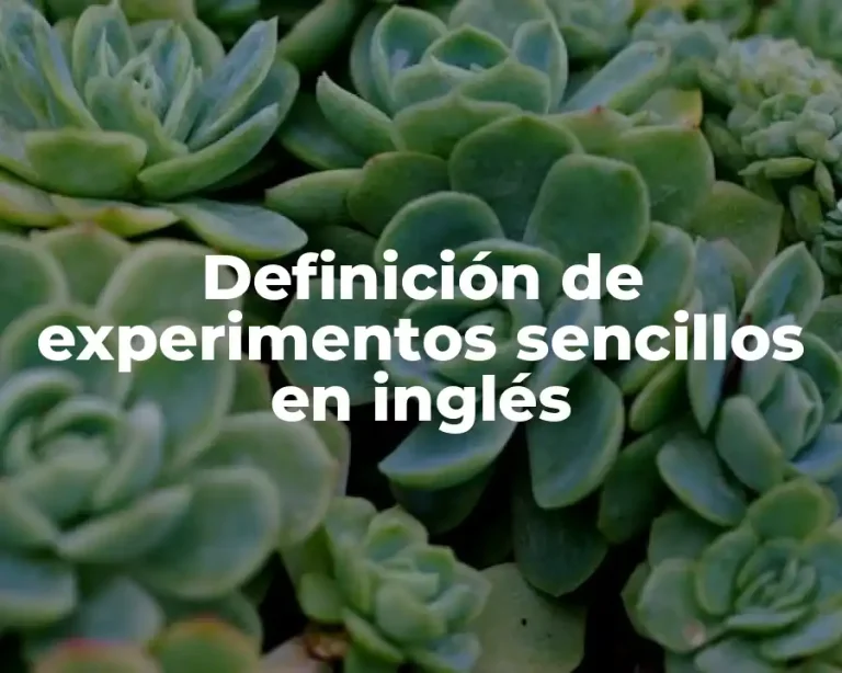 Definición de experimentos sencillos en inglés