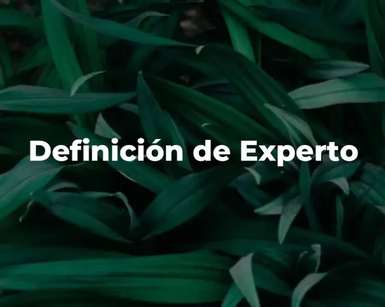 Definición de Experto