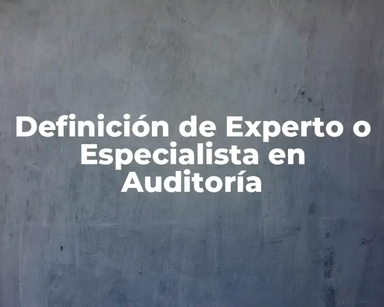 Definición de Experto o Especialista en Auditoría