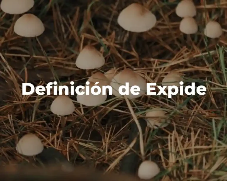 Definición de Expide