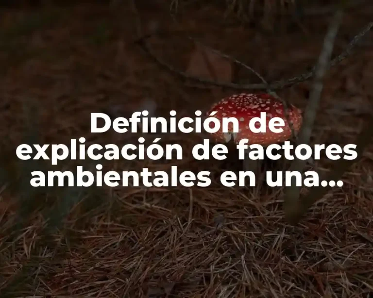 Definición de explicación de factores ambientales en una empresa