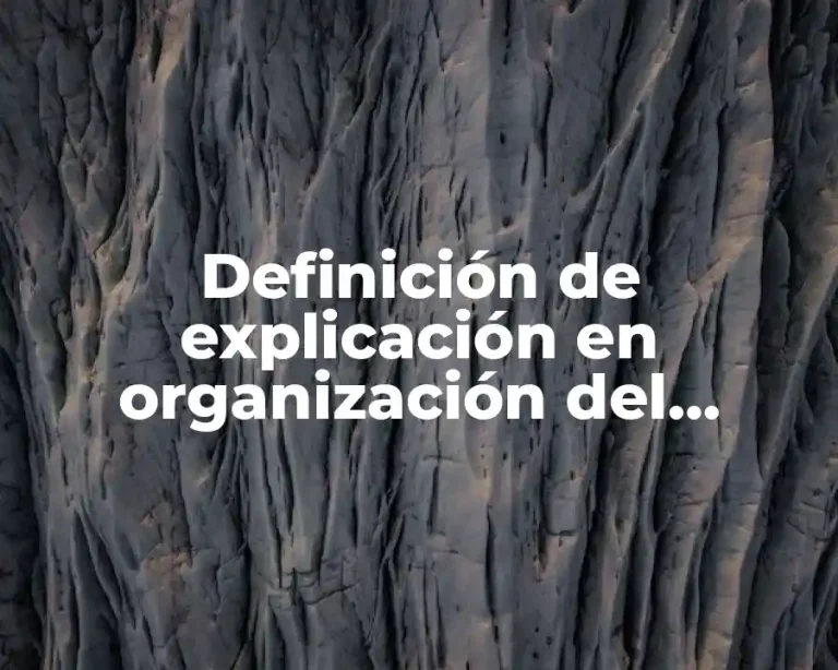 Definición de explicación en organización del pensamiento
