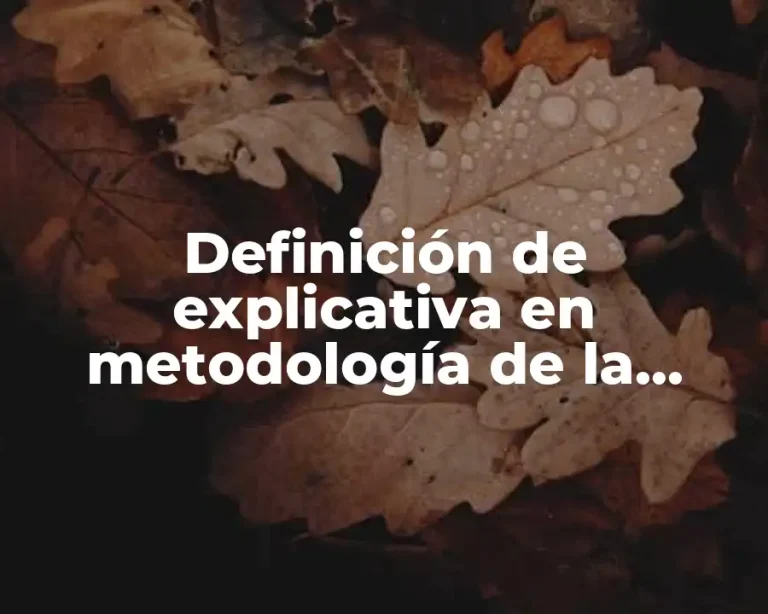Definición de explicativa en metodología de la investigación