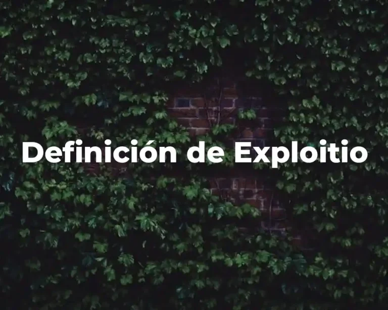 Definición de Exploitio