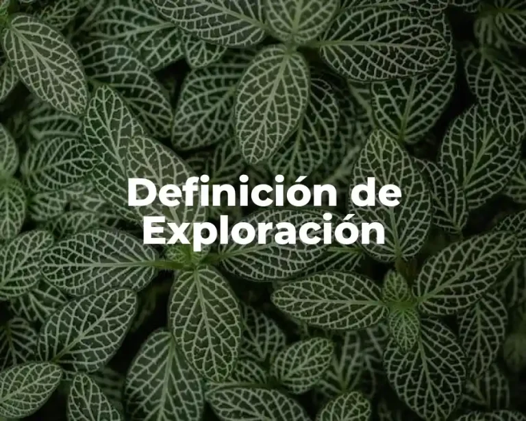 Definición de Exploración