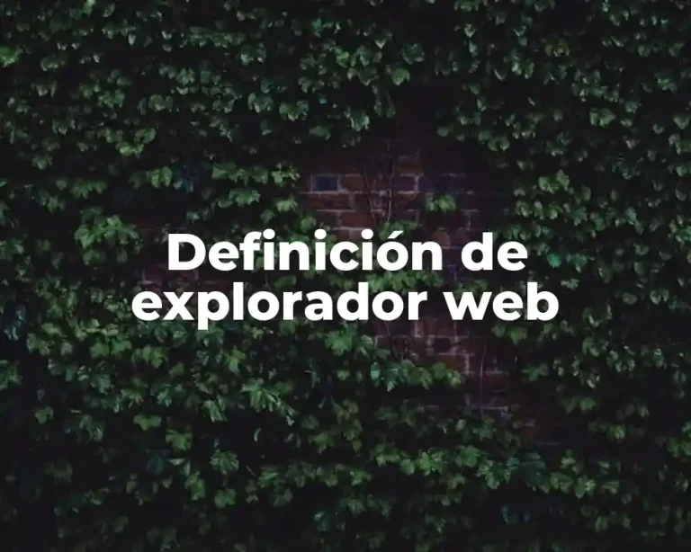 Definición de explorador web