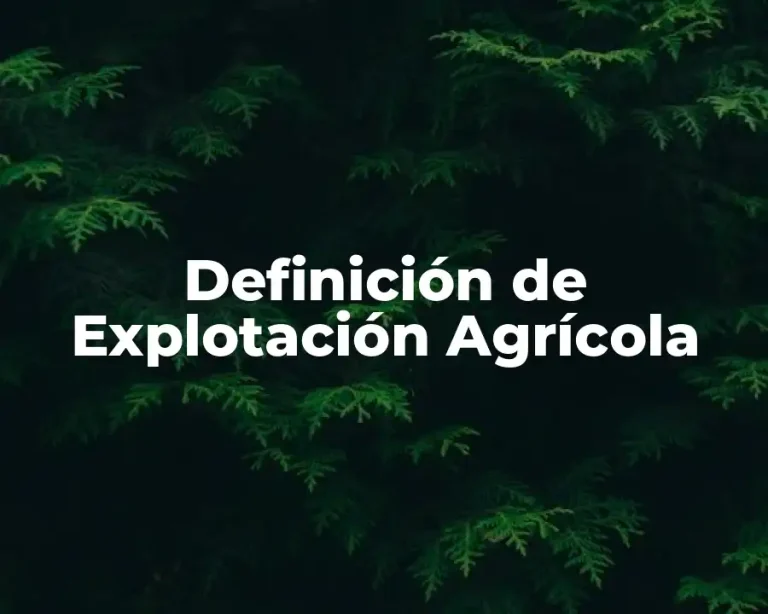 Definición de Explotación Agrícola