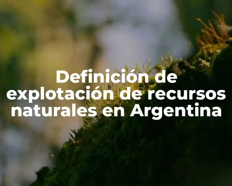 Definición de explotación de recursos naturales en Argentina