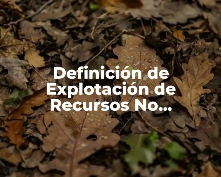 Definición de Explotación de Recursos No Renovables