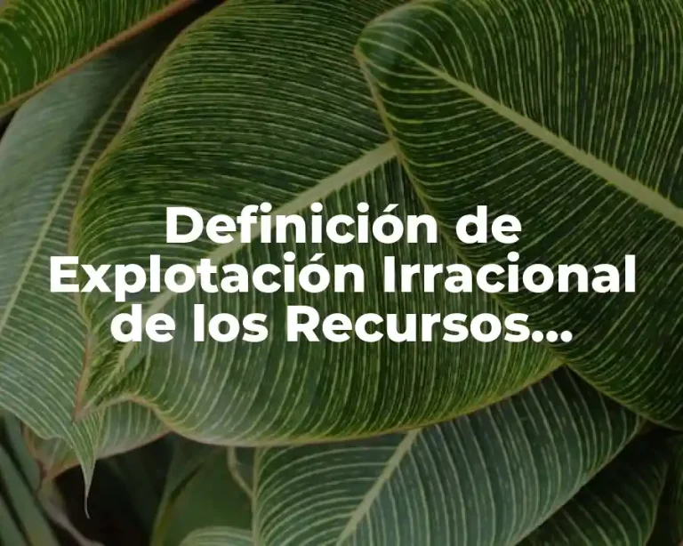 Definición de Explotación Irracional de los Recursos Naturales