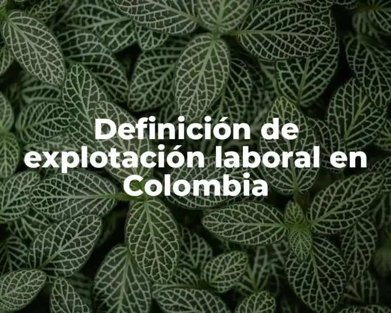 Definición de explotación laboral en Colombia