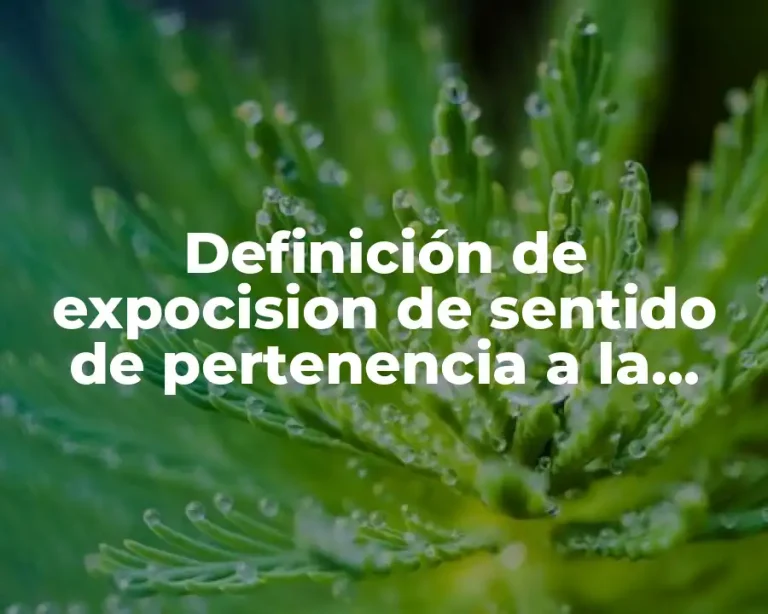 Definición de expocision de sentido de pertenencia a la nación