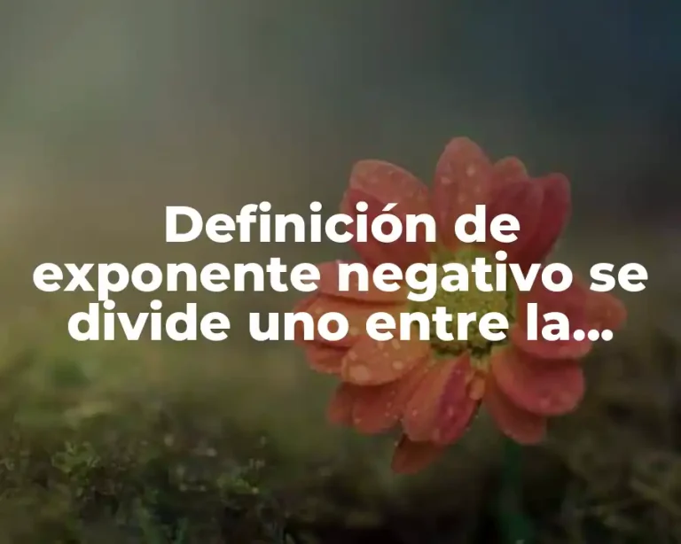 Definición de exponente negativo se divide uno entre la potencia
