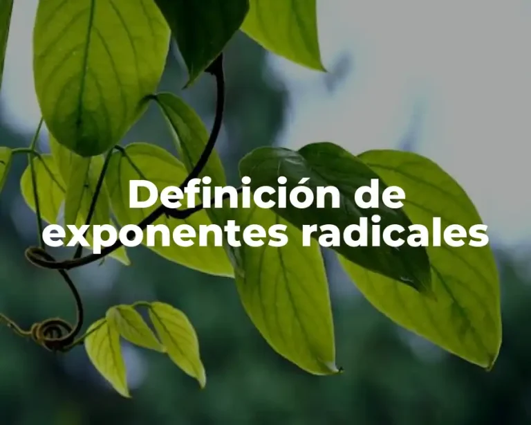 Definición de exponentes radicales