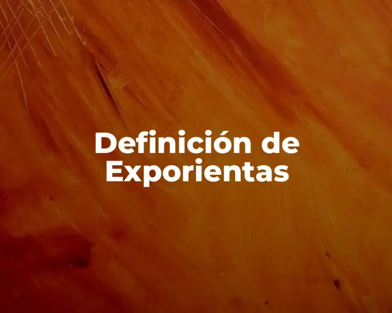 Definición de Exporientas