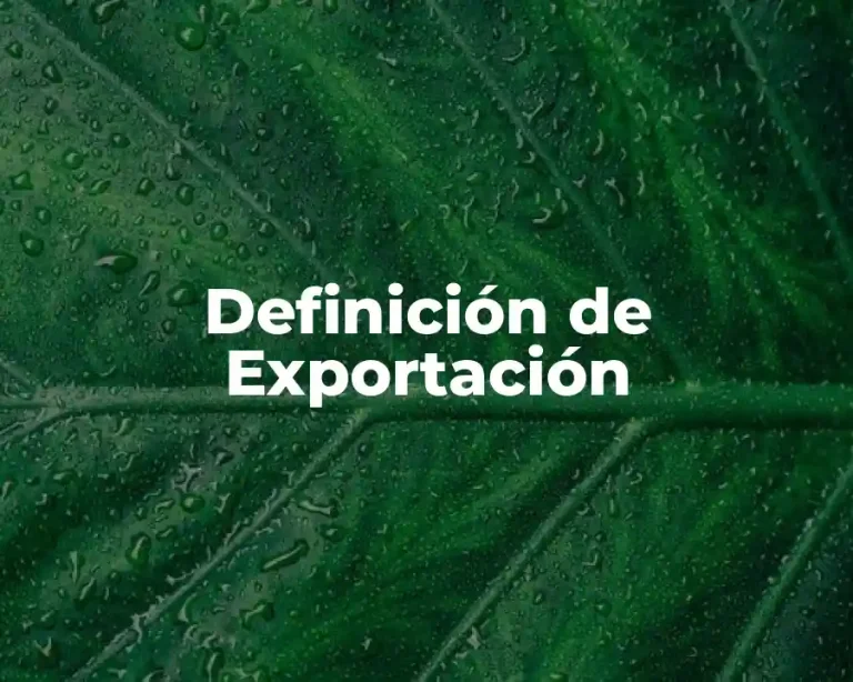 Definición de Exportación