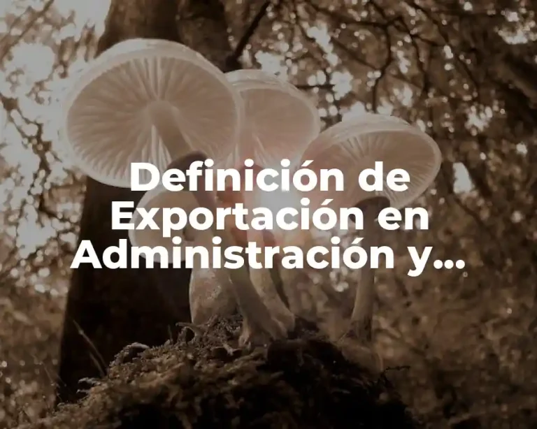 Definición de Exportación en Administración y Economía