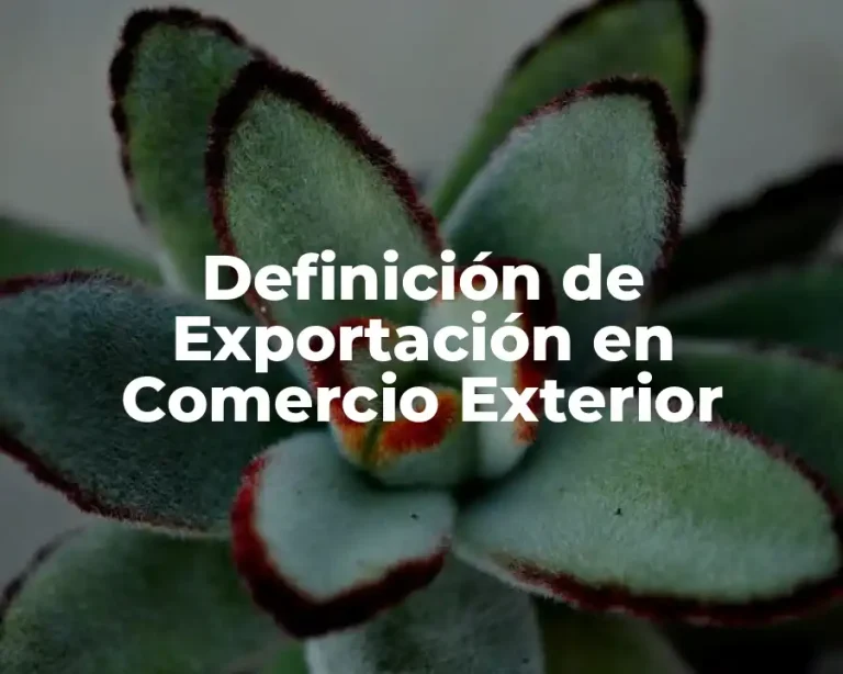 Definición de Exportación en Comercio Exterior