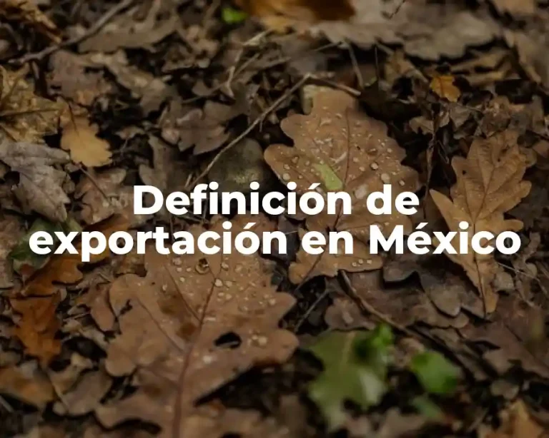 Definición de exportación en México