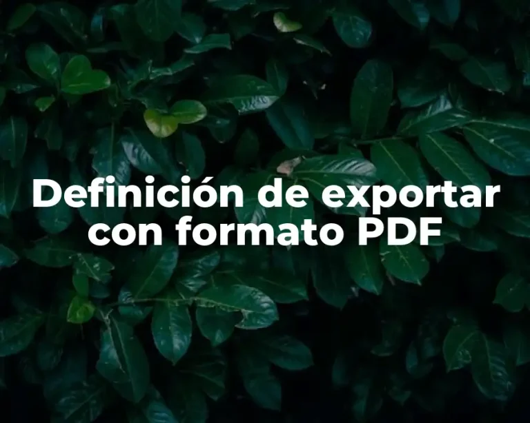 Definición de exportar con formato PDF