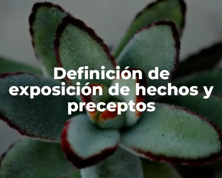 Definición de exposición de hechos y preceptos