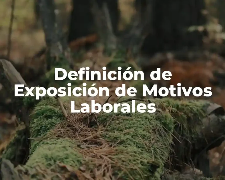 Definición de Exposición de Motivos Laborales