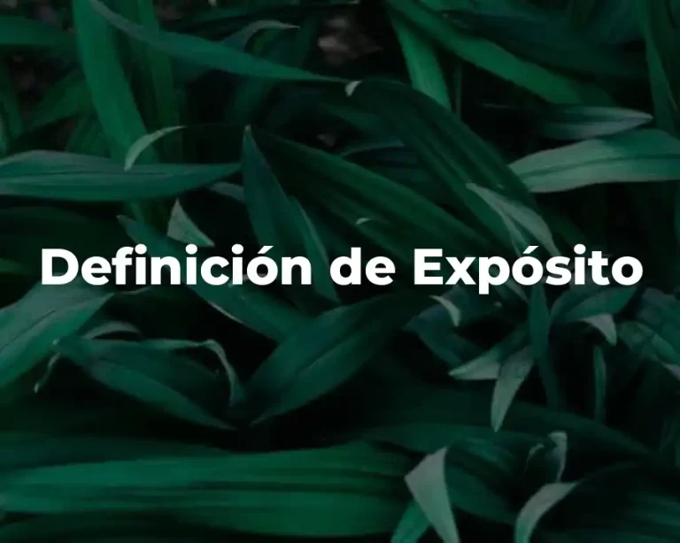 Definición de Expósito