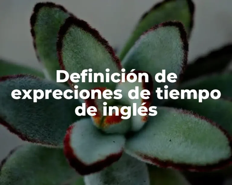 Definición de expreciones de tiempo de inglés