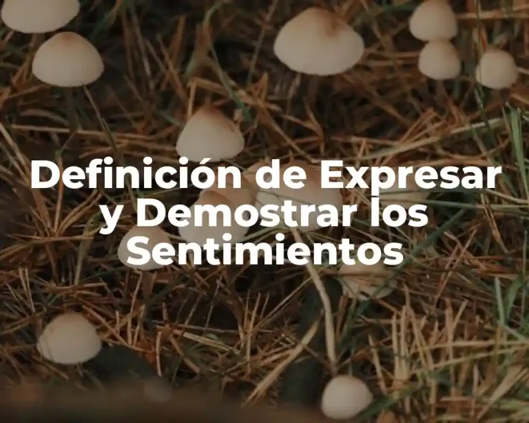 Definición de Expresar y Demostrar los Sentimientos