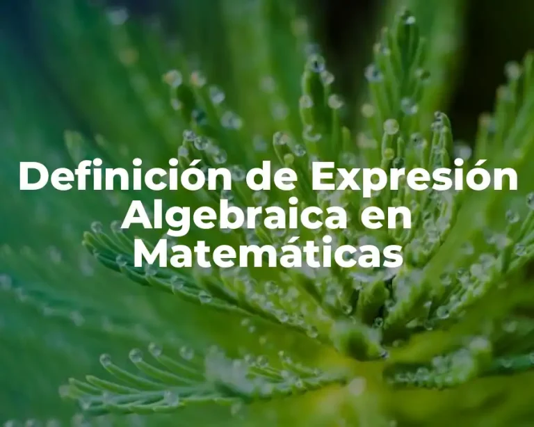 Definición de Expresión Algebraica en Matemáticas