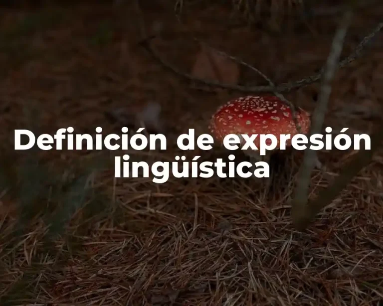 Definición de expresión lingüística