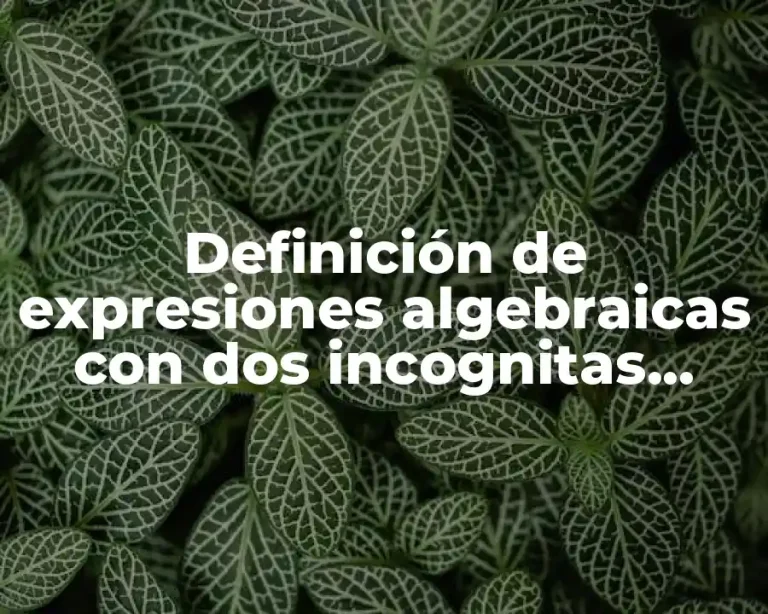 Definición de expresiones algebraicas con dos incognitas resueltos mat2me