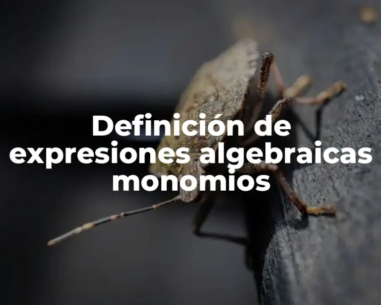 Definición de expresiones algebraicas monomios
