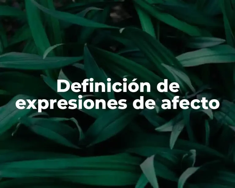 Definición de expresiones de afecto