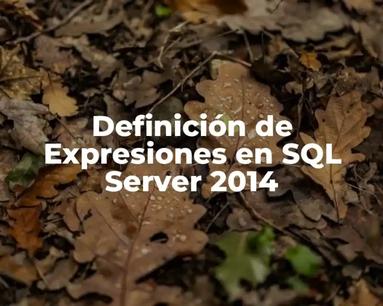 Definición de Expresiones en SQL Server 2014